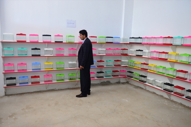 Şanlıurfalı girişimci geçimini akrep yetiştiriciliğinden sağlıyor